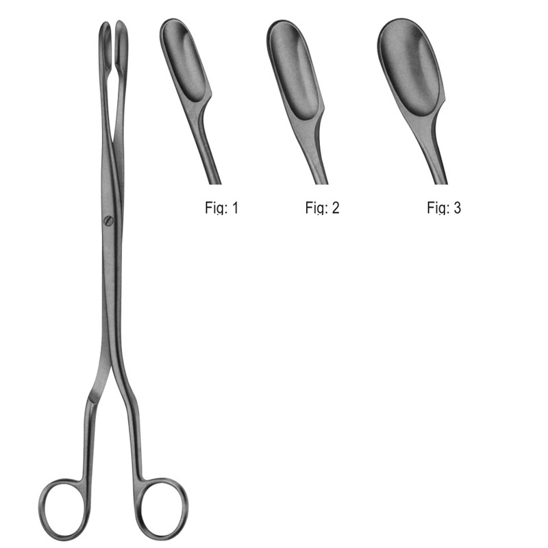 WINTER Placenta Forceps  28 cm